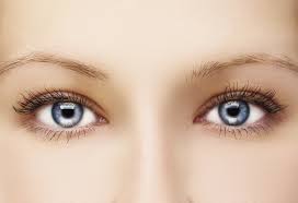 Image for Griffeth Vision with ID of: 900281