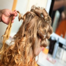 Image for Salon 2120 with ID of: 901082