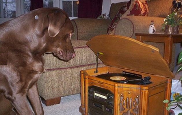 Image for Cool Record Players with ID of: 901162