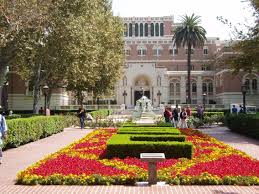 Image for Atlantis University with ID of: 901345