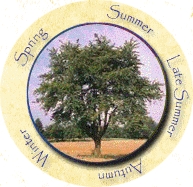 Image for Seasons In Our Life with ID of: 902809