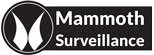 Image for Mammoth Surveillance Camera Systems with ID of: 903944