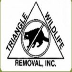 Image for Triangle Wildlife Removal & Pest Control Inc with ID of: 905811