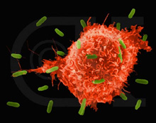 Image for Creative Bioarray with ID of: 906174