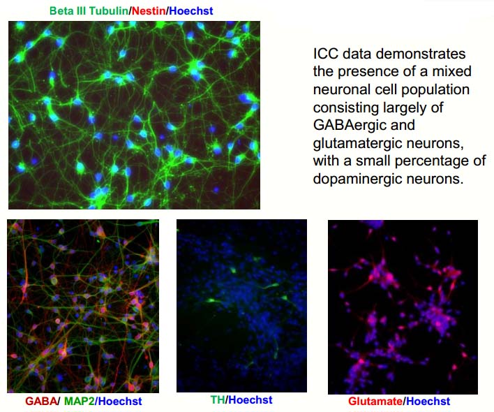 Image for Creative Bioarray with ID of: 906175