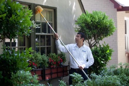 Image for Barrier Pest Solutions with ID of: 906852