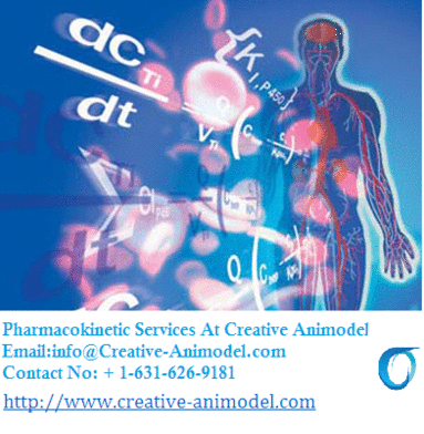 Image for Creative Animodel with ID of: 908919