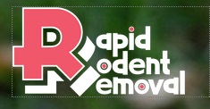 Image for Rapid Rodent Removal with ID of: 909632