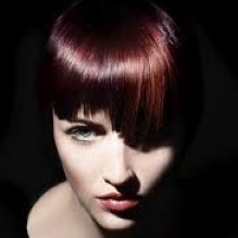 Image for Sheer Drama with ID of: 909763