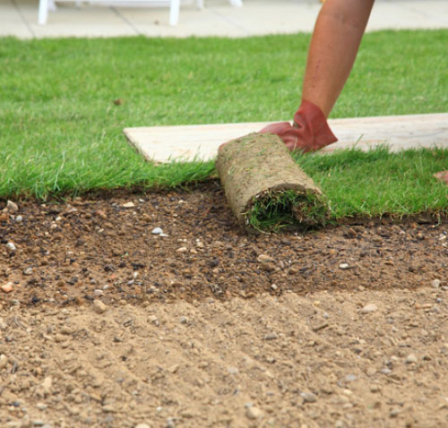 Image for Steve's Lawn Care Services with ID of: 909981