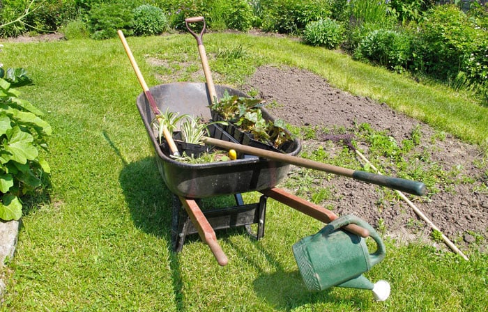 Image for Steve's Lawn Care Services with ID of: 909983