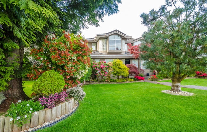 Image for Steve's Lawn Care Services with ID of: 909988