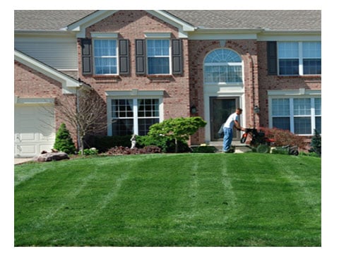 Image for Steve's Lawn Care Services with ID of: 909995