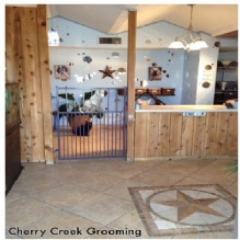 Image for Cherry Creek Grooming with ID of: 911315