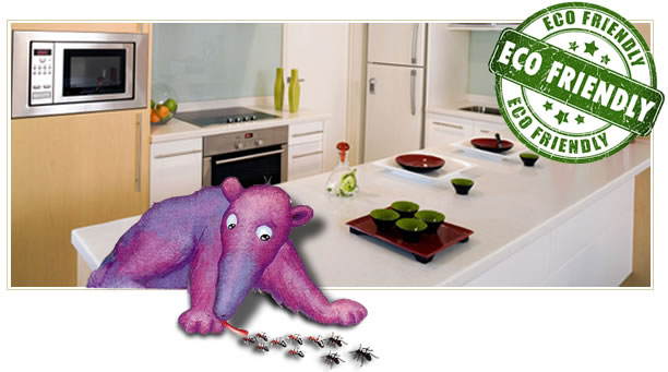 Image for Choice Pest Management with ID of: 912594