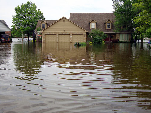 Image for Midwest Flood Restoration with ID of: 912623