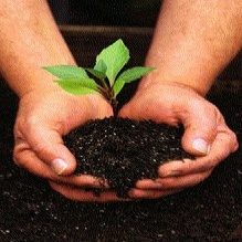 Image for Patty Johnson's Acupuncture & Herbs with ID of: 913150