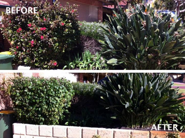 Image for Mitchs Gardening with ID of: 913164