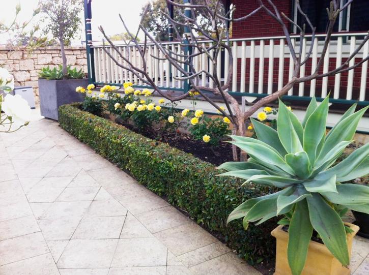 Image for Mitchs Gardening with ID of: 913166