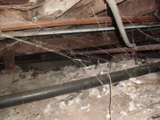 Image for Pacific Coast Inspection Service with ID of: 914544