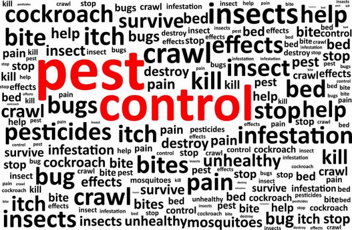 Image for JC Pest Control Now with ID of: 914902