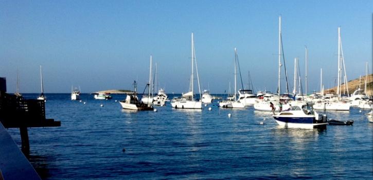 Image for LA Sailing Charter with ID of: 915272