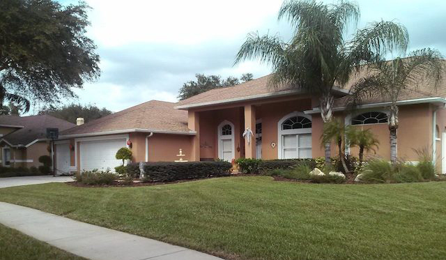 Image for AAP Landscaping Tampa with ID of: 917356