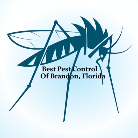 Image for Best Pest Control of Brandon with ID of: 917567