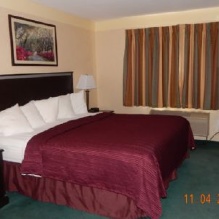 Image for Quality Inn with ID of: 917895