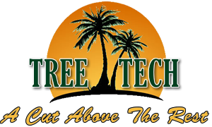 Image for Tree Tech with ID of: 920712