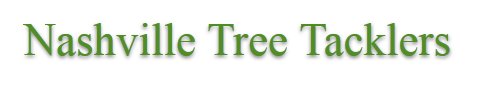 Image for Nashville Tree Tacklers with ID of: 920827
