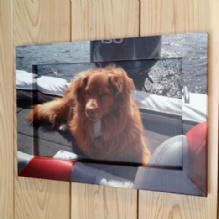 Image for Colorpath Inc. with ID of: 921119