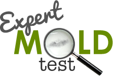 Image for Expert Mold Test with ID of: 921423