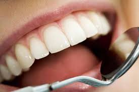Image for Biscayne Wellness Center with ID of: 922633