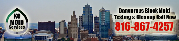 Image for KC Mold Services with ID of: 924314