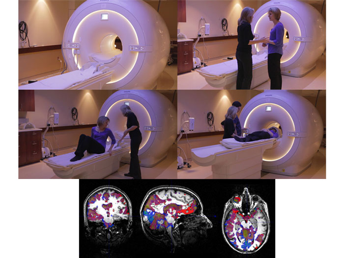 Image for Brain Maps, LLC with ID of: 925302