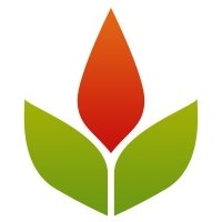 Image for Phoenix Steve Mapua SEO with ID of: 928576