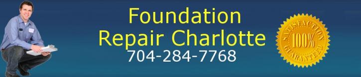 Image for Charlotte Foundation Pros. with ID of: 928726