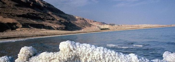 Image for Majed Abdeljaber with ID of: 928863