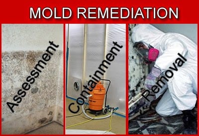 Image for America's Restoration Services with ID of: 930403