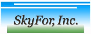 Image for Skyfor, Inc. with ID of: 930404