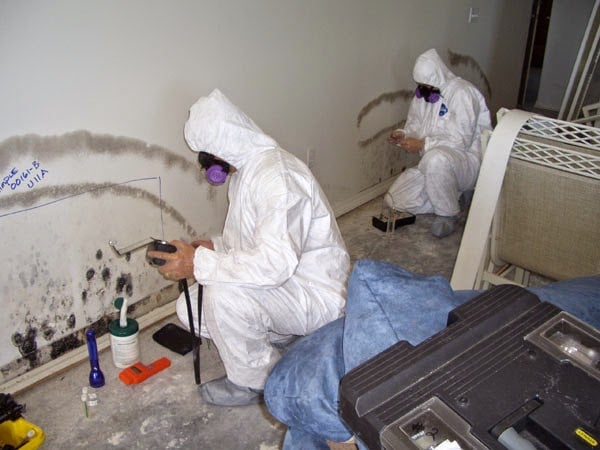 Image for America's Restoration Services with ID of: 930409