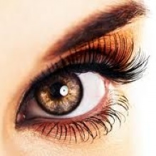 Image for Beauty Secrets with ID of: 932094