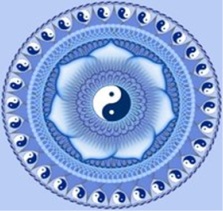 Image for THERA Massage Therapy, PLLC with ID of: 933776