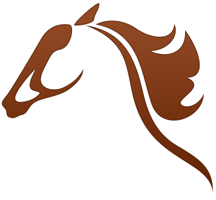 Image for Mountain Ranch Resort in Arizona with ID of: 935635