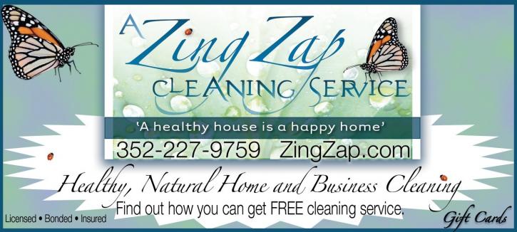 Image for A Zing Zap Cleaning Service - House Cleaning with ID of: 93654