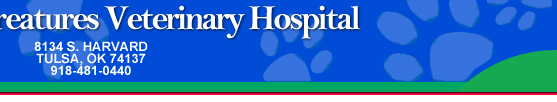 Image for All Creatures Veterinary Hospital with ID of: 937369