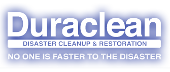 Image for Forest Hill Disaster Restoration Harford County Mold Removal with ID of: 937685