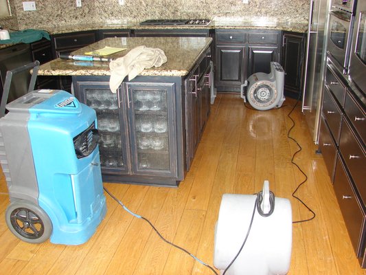 Image for Protek Restoration Services with ID of: 938174