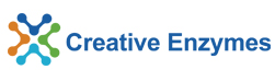 Image for creative enzymes with ID of: 939728